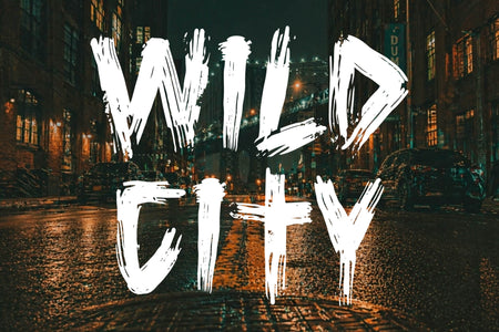 OMGRADE display font – preview 6