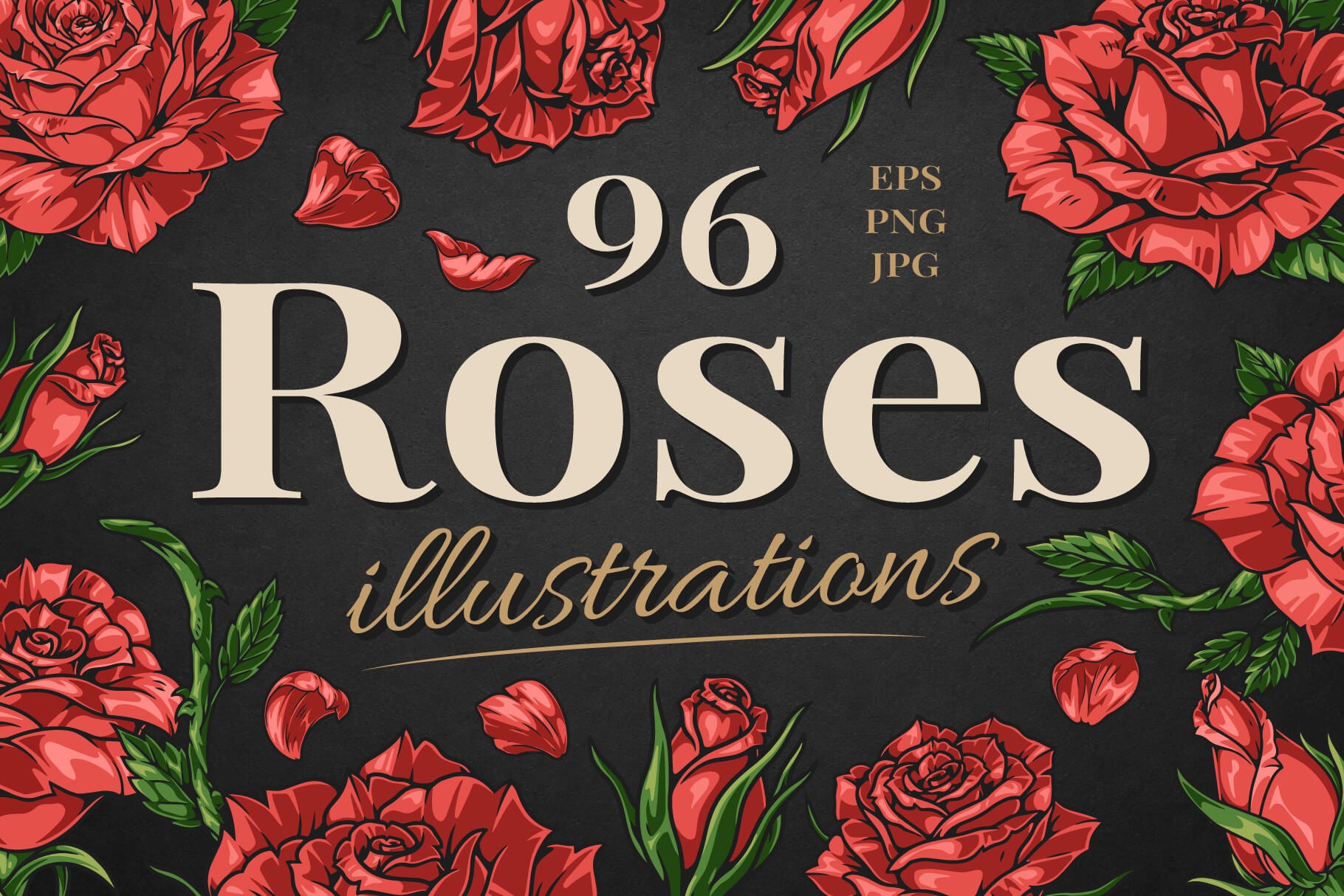 Roses Floral Illustrations cover