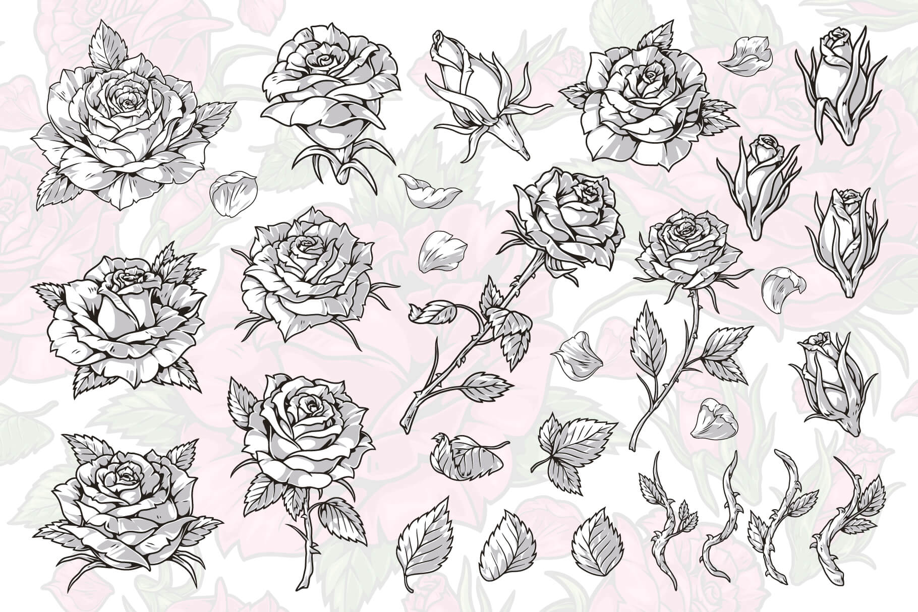 Roses Floral Illustrations (96)