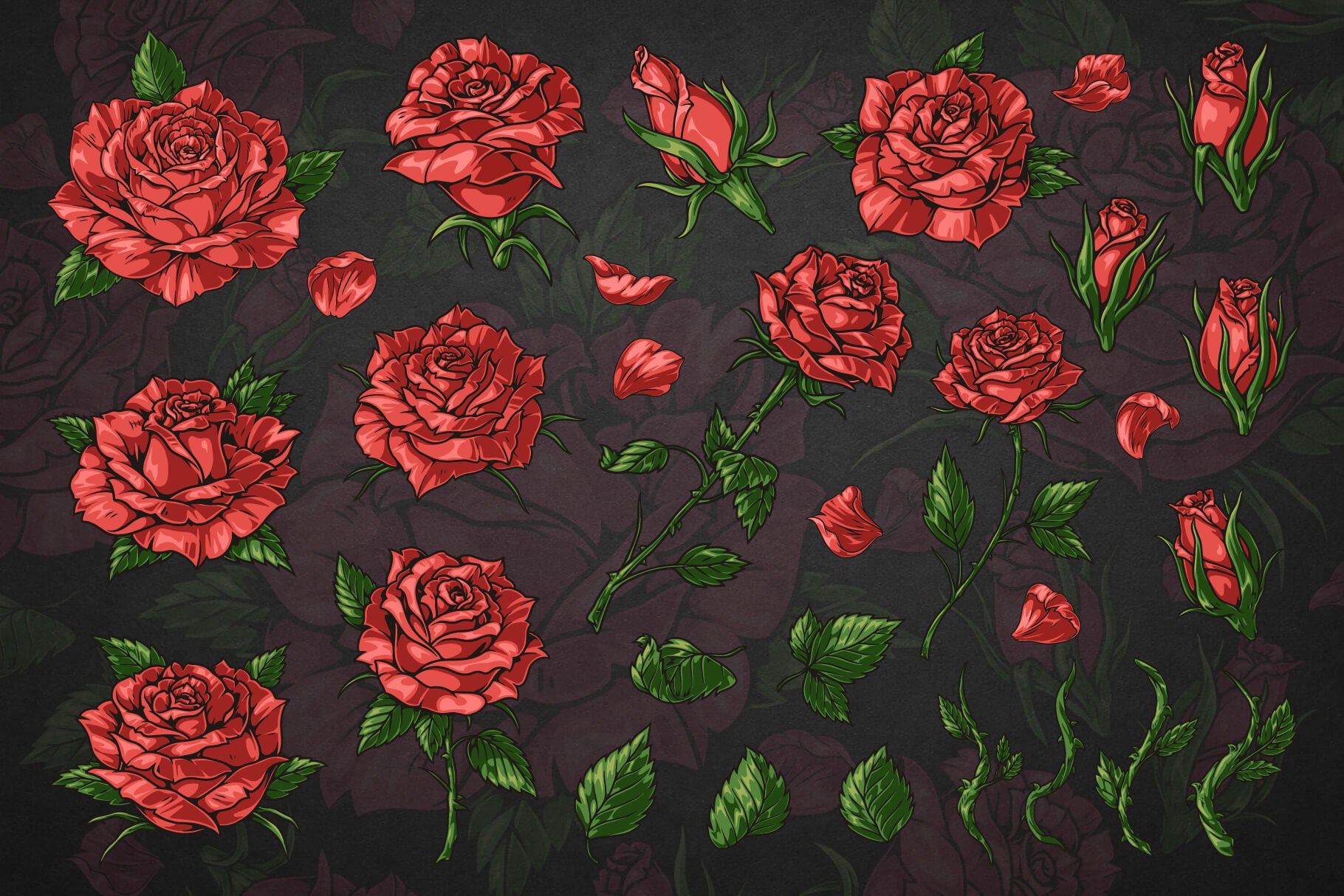 Roses Floral Illustrations (96)