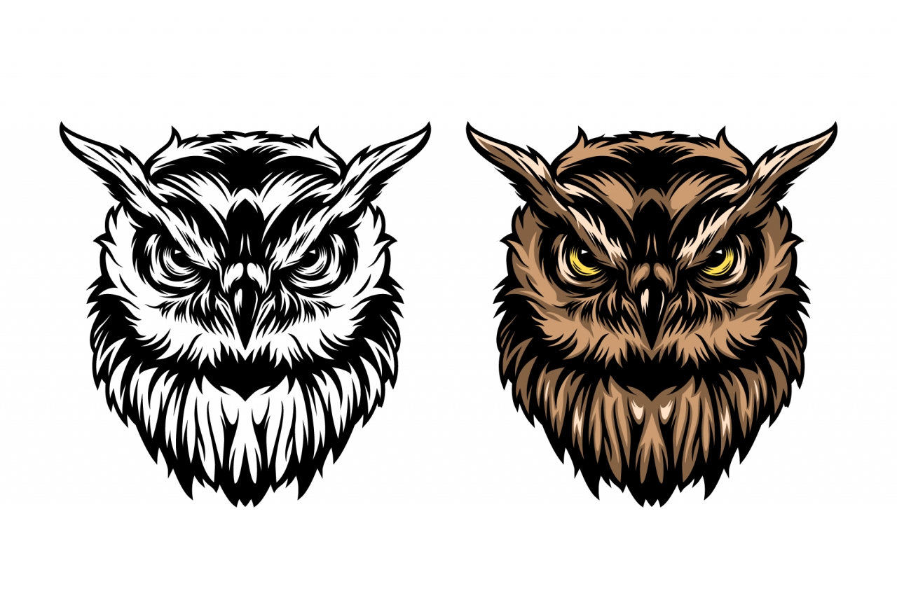 The old school style design of serious owl head in color and monochrome versions