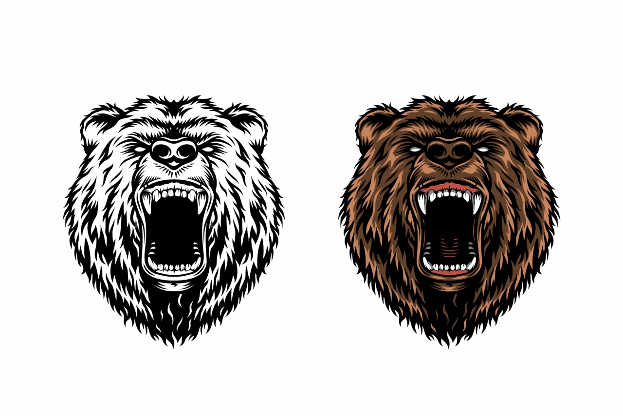 The old school style angry bear heads in color and monochrome versions on white background