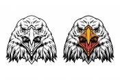 Vintage majestic eagle head in color and monochrome versions