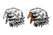 Vintage majestic proud eagle head side view design in color and monochrome versions
