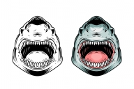 Angry shark head vintage design in color and monochrome versions on white background