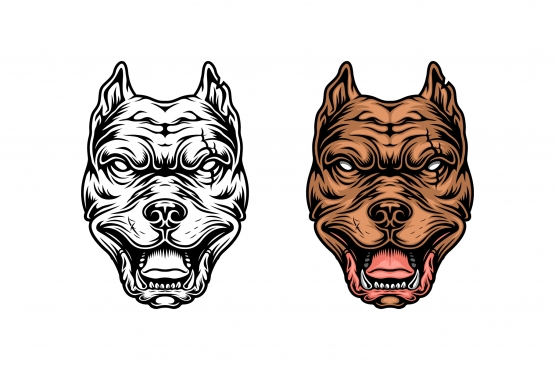 Color and monochrome versions of pitbull head design in vintage style on white background