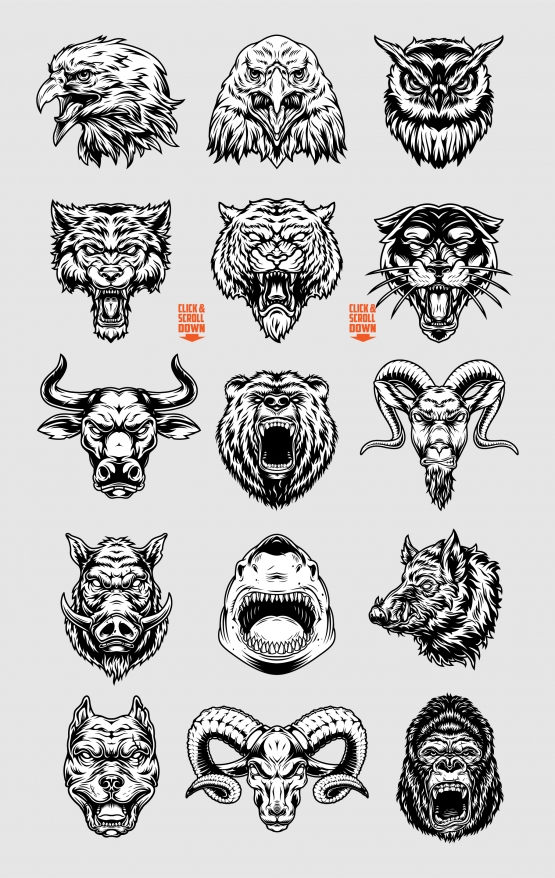 Vintage aggressive bloodthirsty animal heads designs collection with pitbull, tiger, goat, bear, gorilla, shark, black panther, bull, wolf, eagle, owl, wild boar, ram in monochrome style